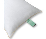 Green Choice 25 oz. Queen Pillow
